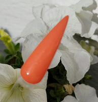 Orange You Happy I Didn't Say Banana Dip Powder